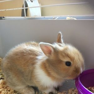 Meet your Posher, Kenya